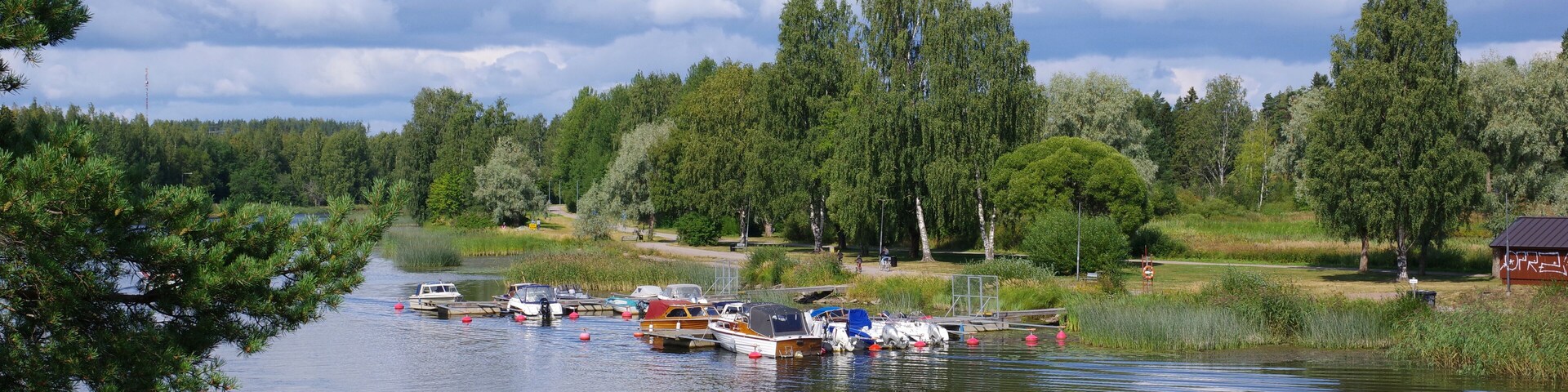 Bateaux amarés près des roseaux