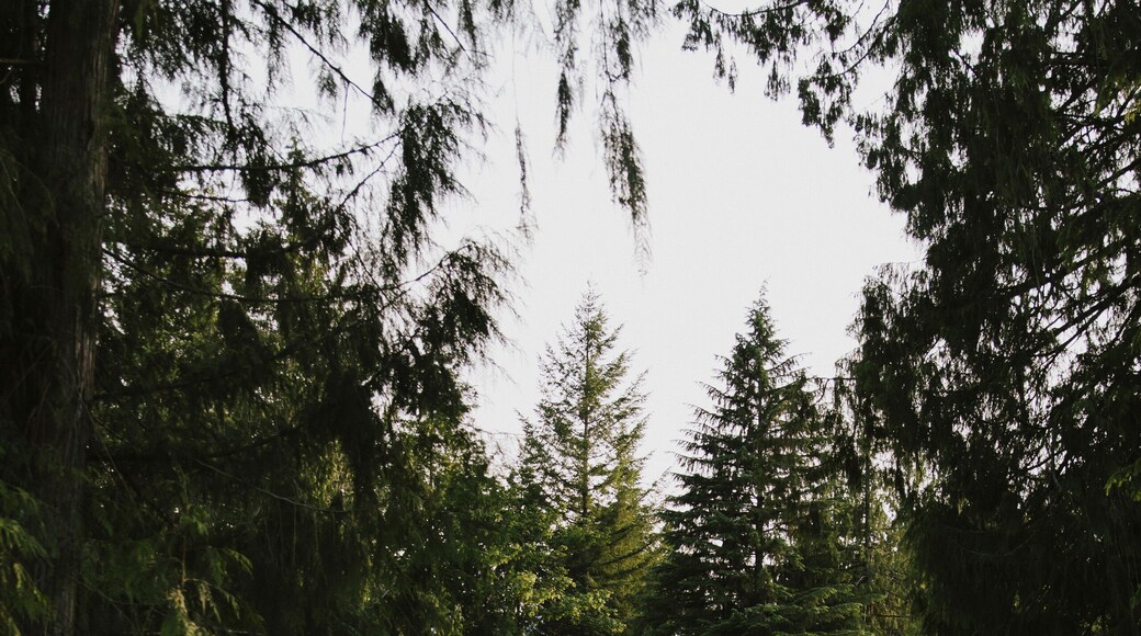 Washington State Horse Park