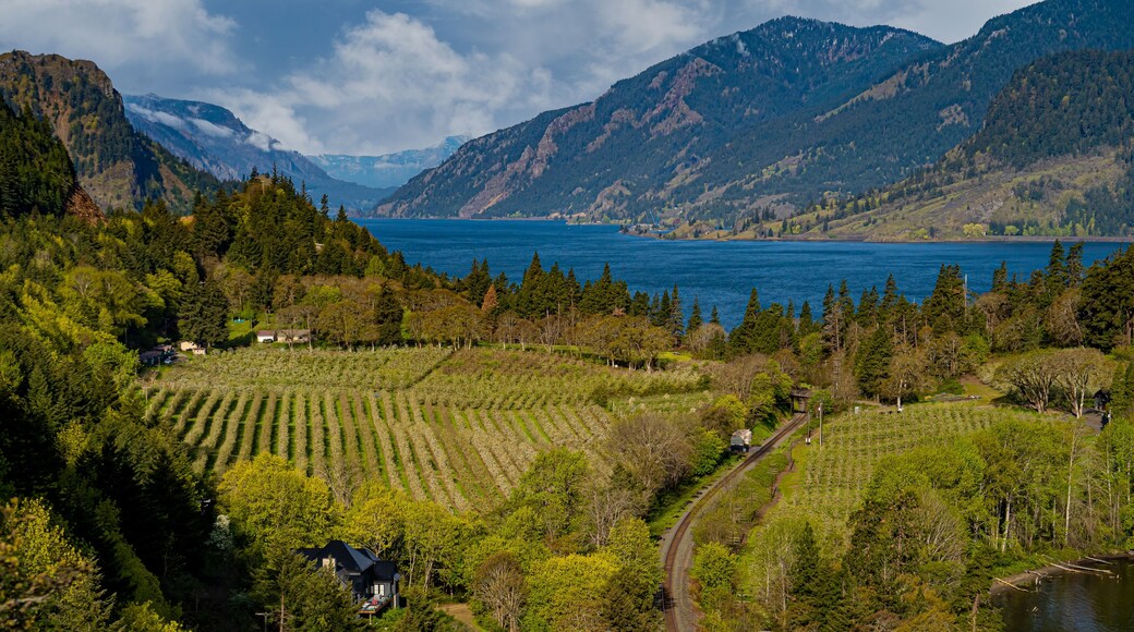 Activité ludique Mount Hood Railroad