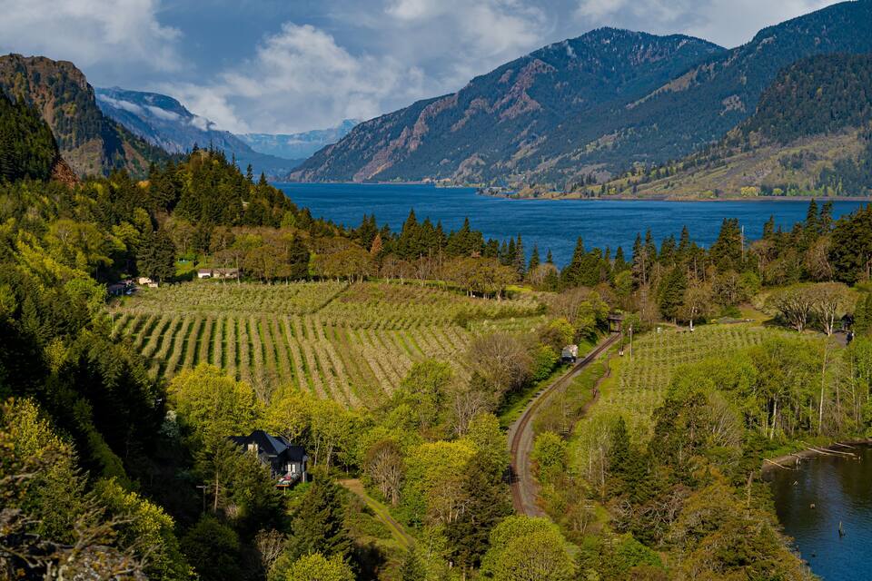 A mountainous landscape with a lake, terraced vineyards, and a small house.