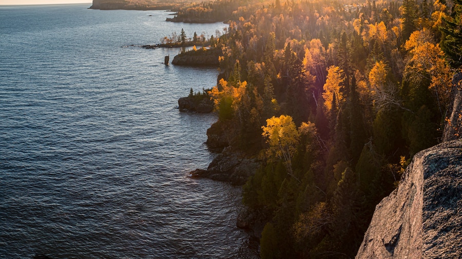 A coastal landscape with a rocky shoreline, dense forest, and a body of water.