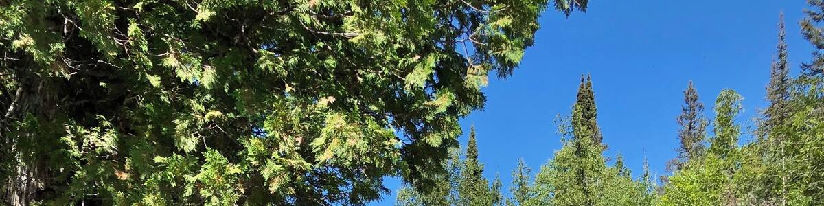 Manitou State Park, MN. Middle Falls