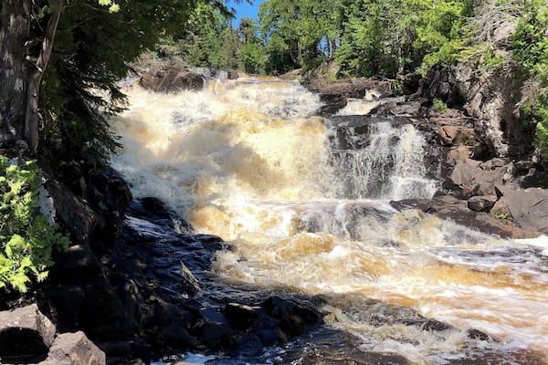 A turbulent river flowing over rocks, surrounded by dense green foliage and trees.