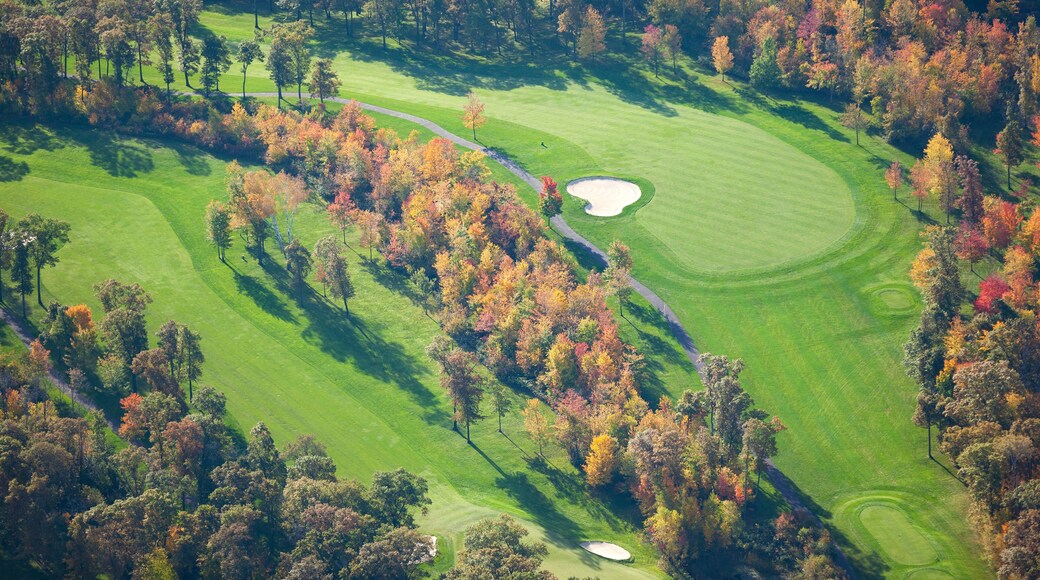 The Pines Golf Course
