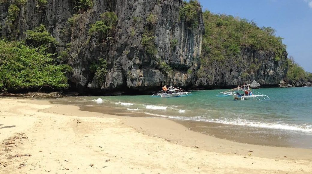 Caption---- Puerto Princesa, Palawan