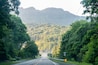 Una carretera bordeada por árboles verdes frondosos y una montaña al fondo.