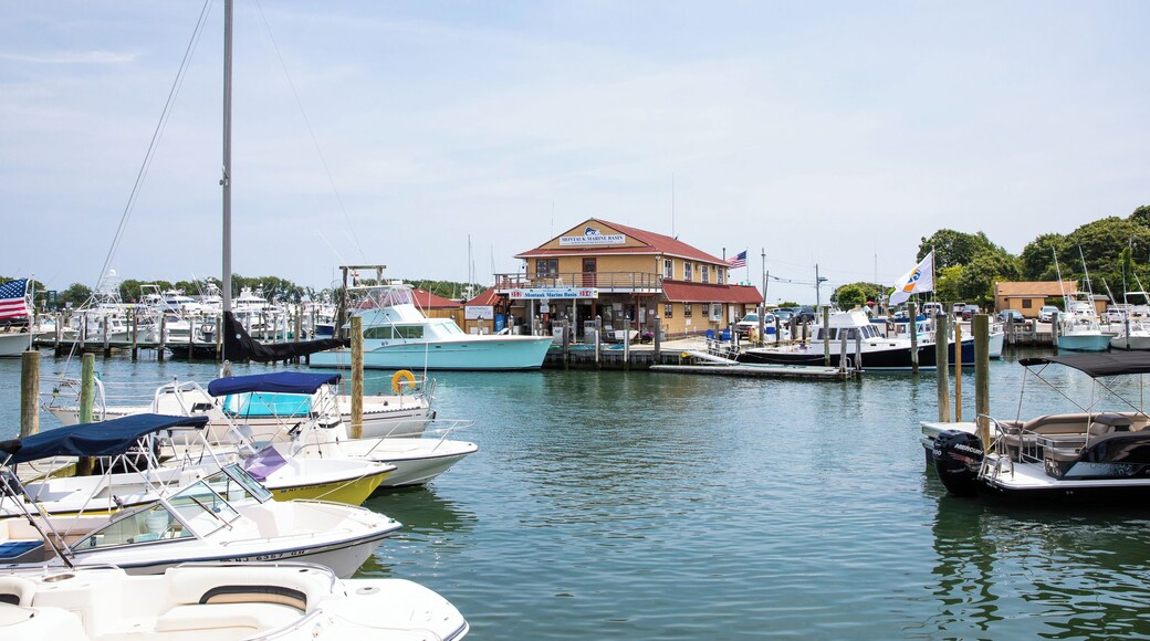 Montauk Marine Basin