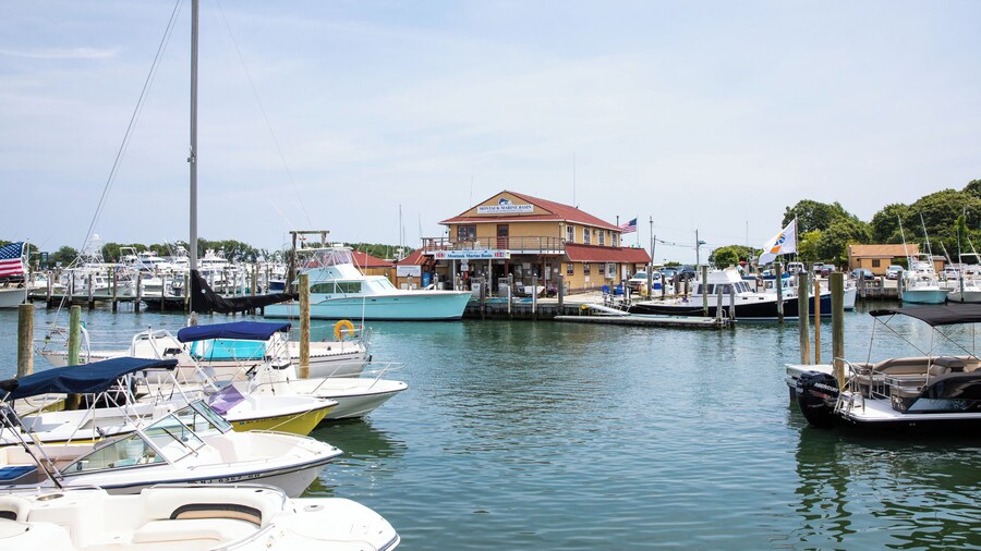 Montauk Marine Basin
