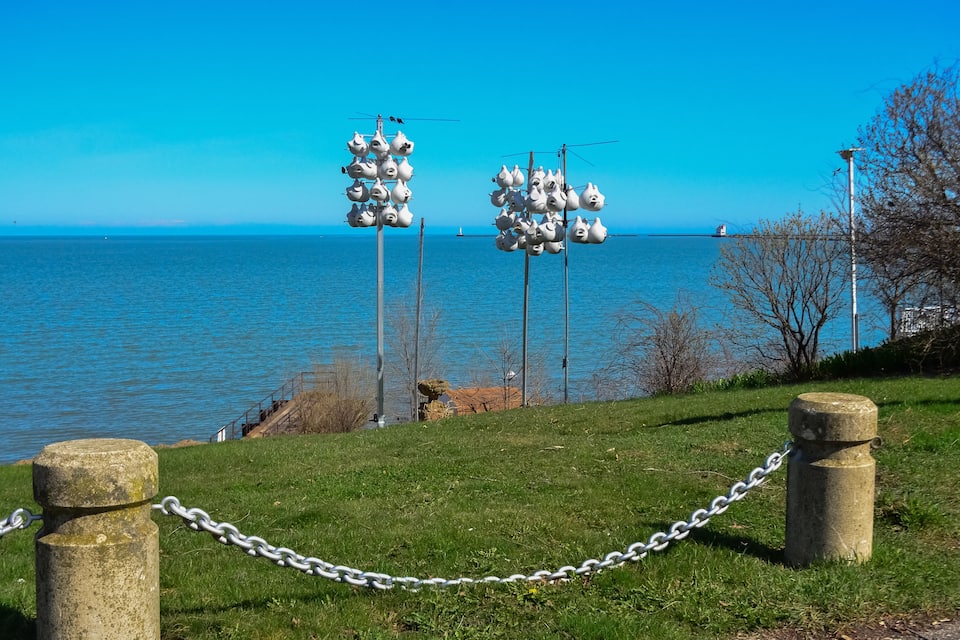 Une zone herbeuse entourée d’une clôture en treillis métallique, avec une étendue d’eau et un voilier visible au loin.