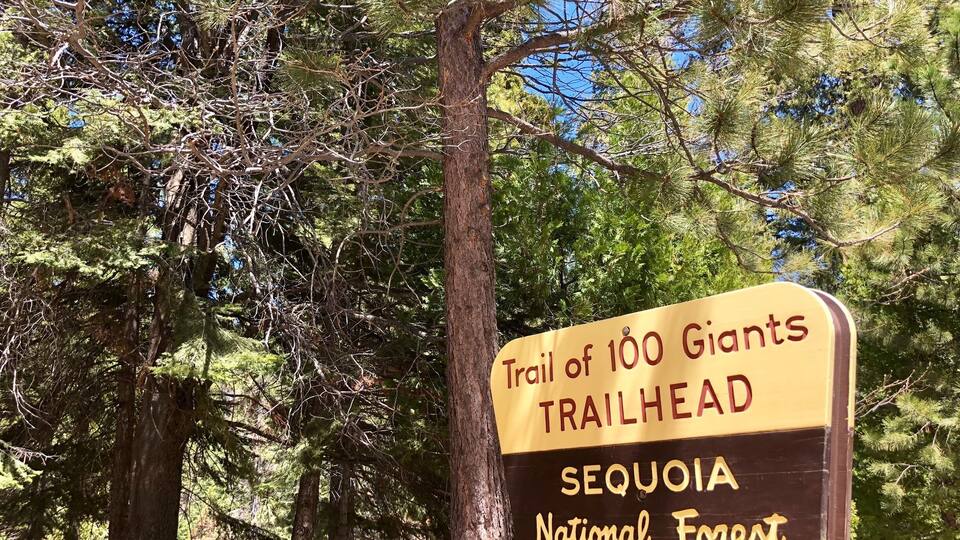A sign for the Trail of 100 Giants Trailhead in Sequoia National Forest.