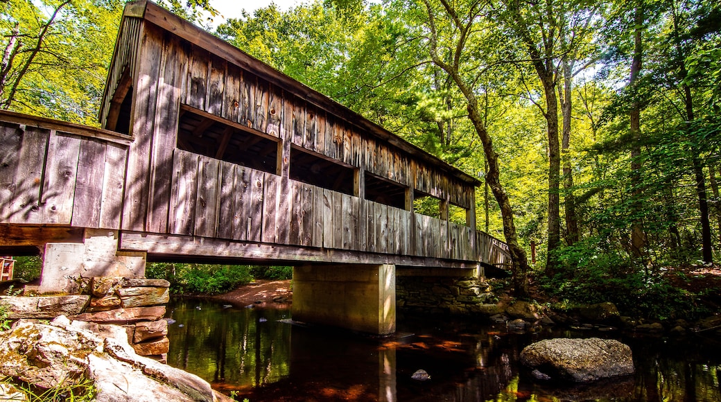 ミル ポンド パーク