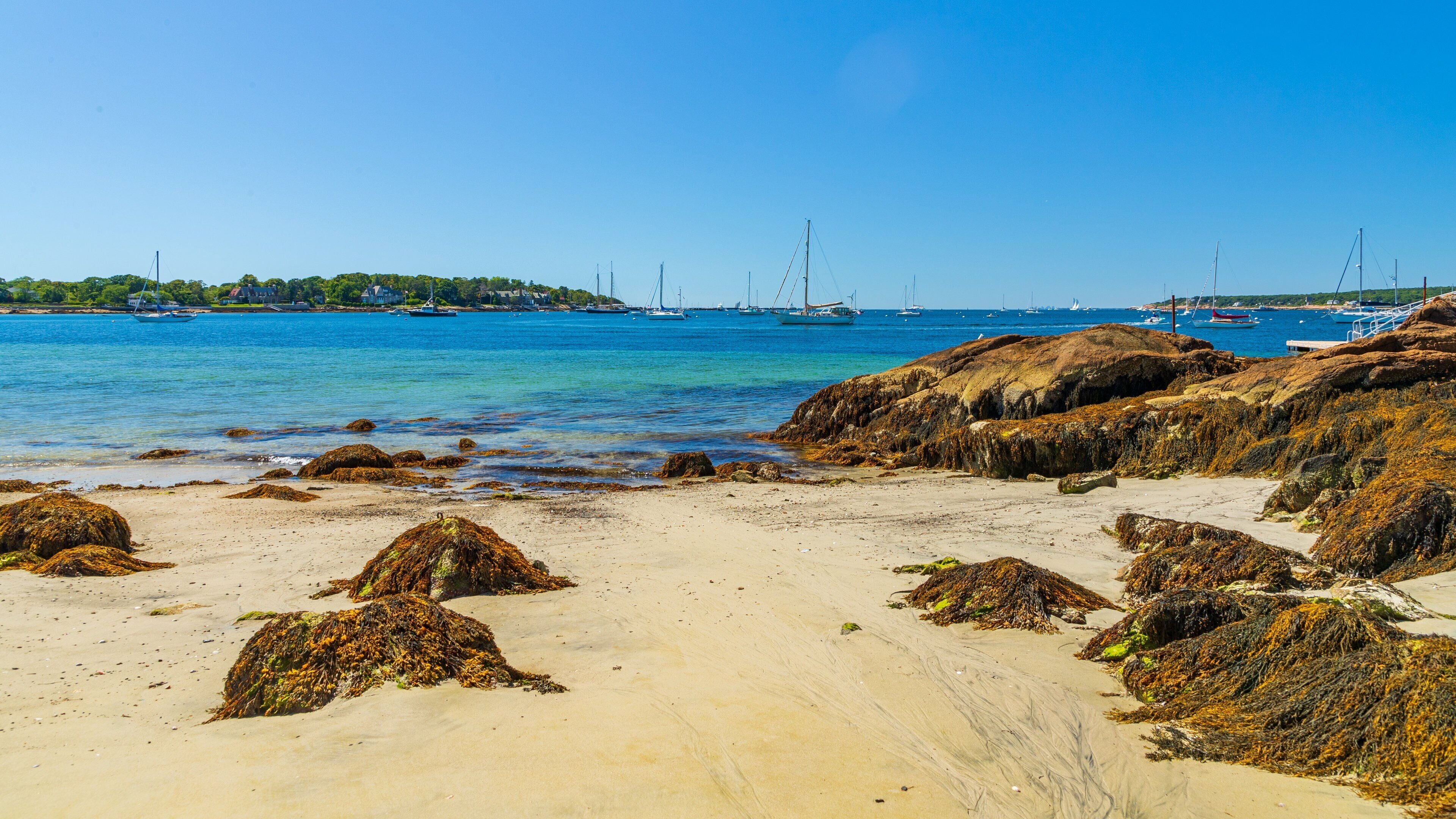Niles Beach showing a sandy beach, rocky coastline and general coastal views