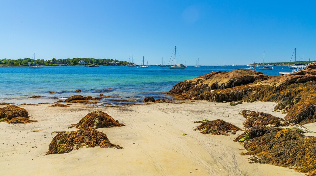Niles Beach showing a sandy beach, rocky coastline and general coastal views