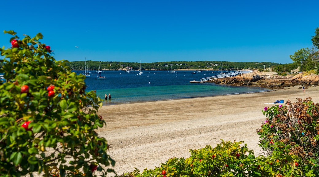 Niles Beach featuring general coastal views and a beach