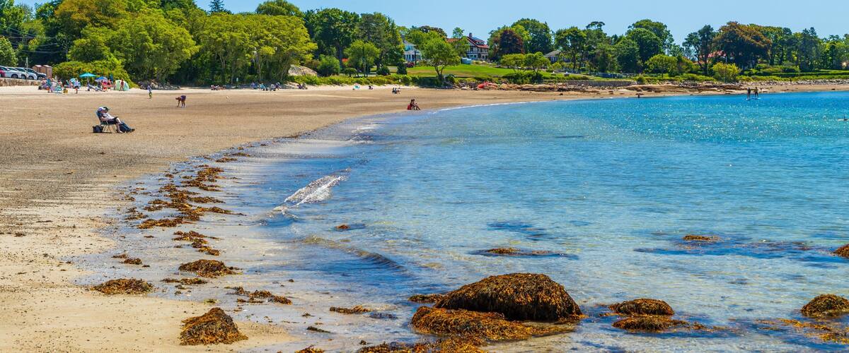 Niles Beach showing general coastal views and a sandy beach