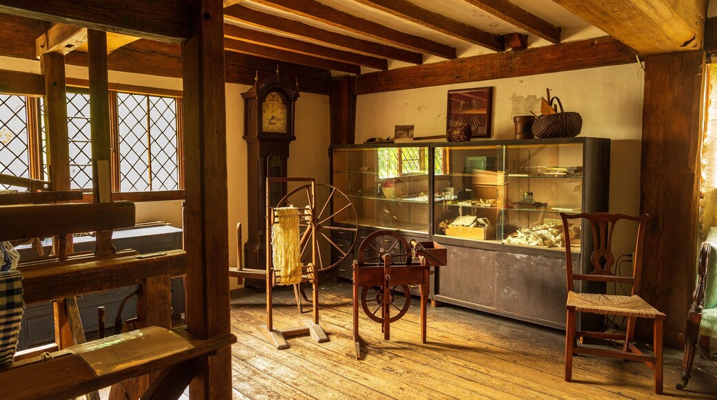Ipswich Museum showing heritage elements and interior views