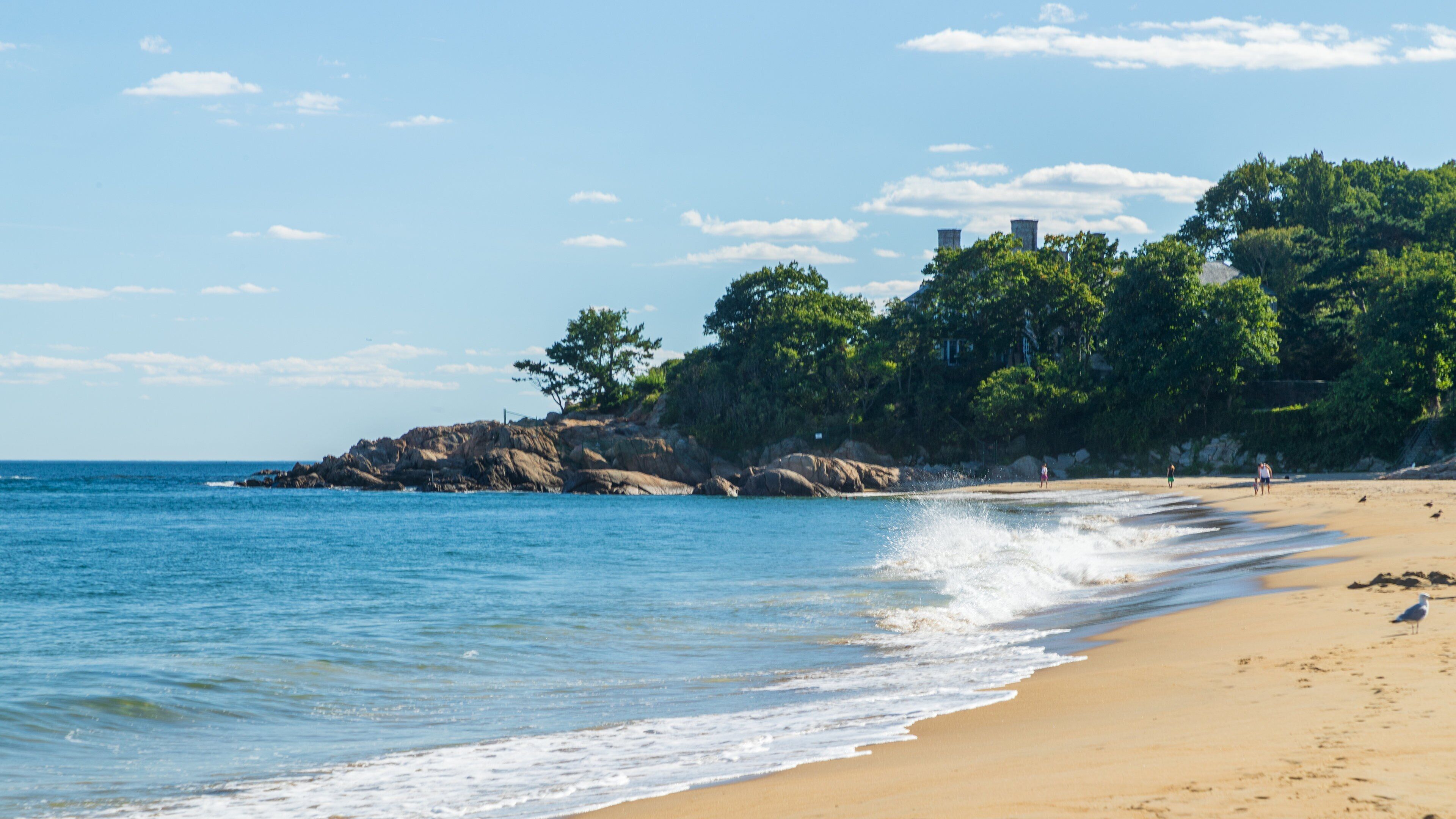 Singing Beach showing a beach and general coastal views