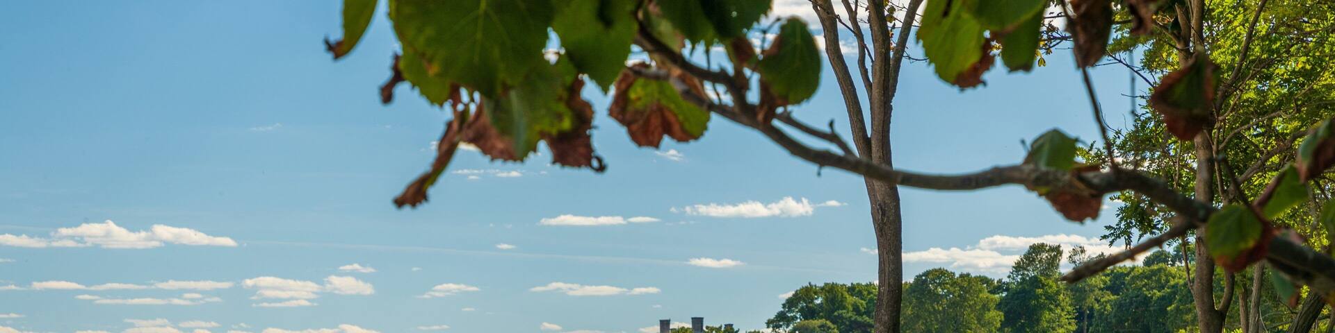Singing Beach featuring general coastal views and a sandy beach