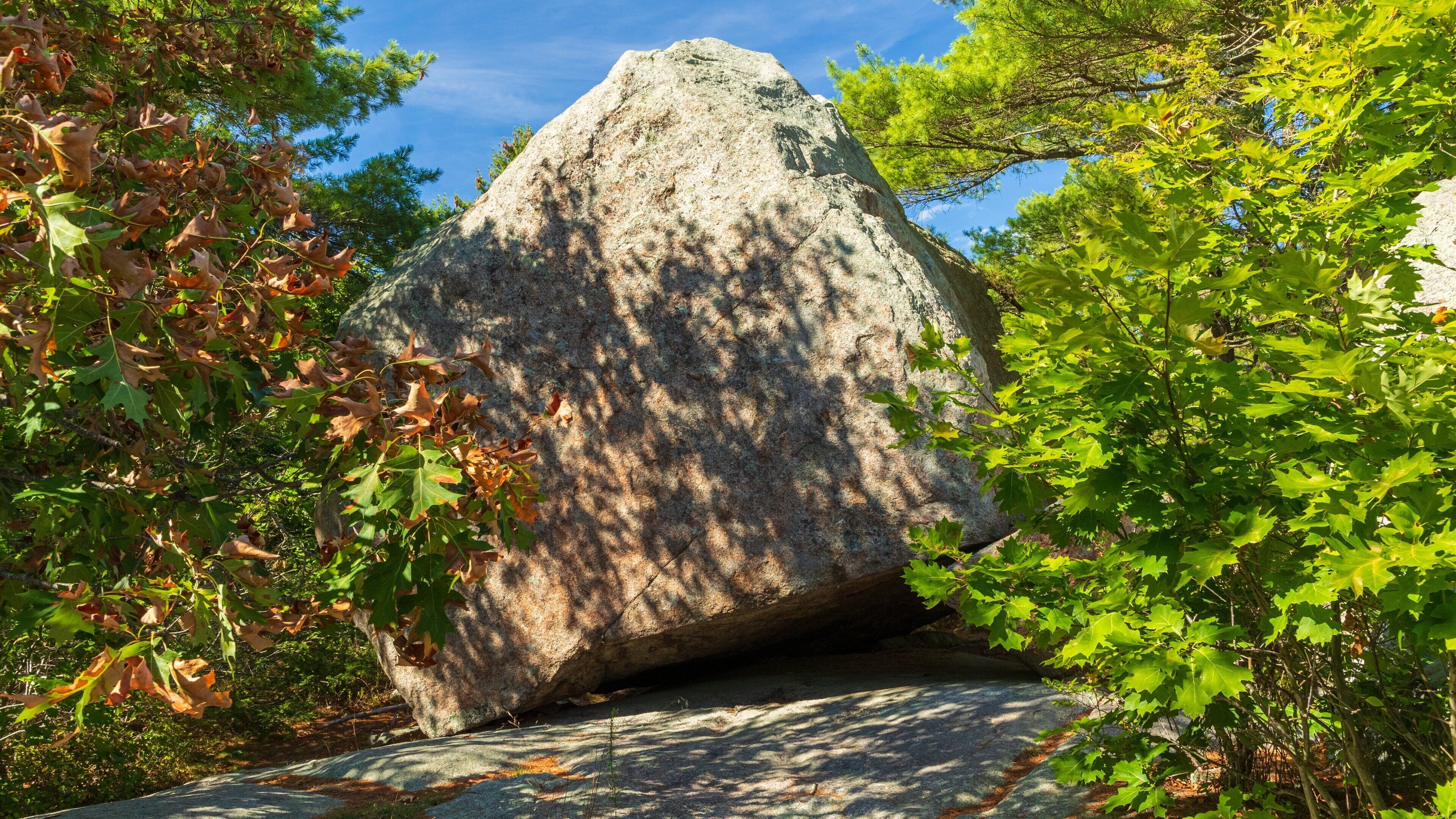 A large rock formation surrounded by green foliage.