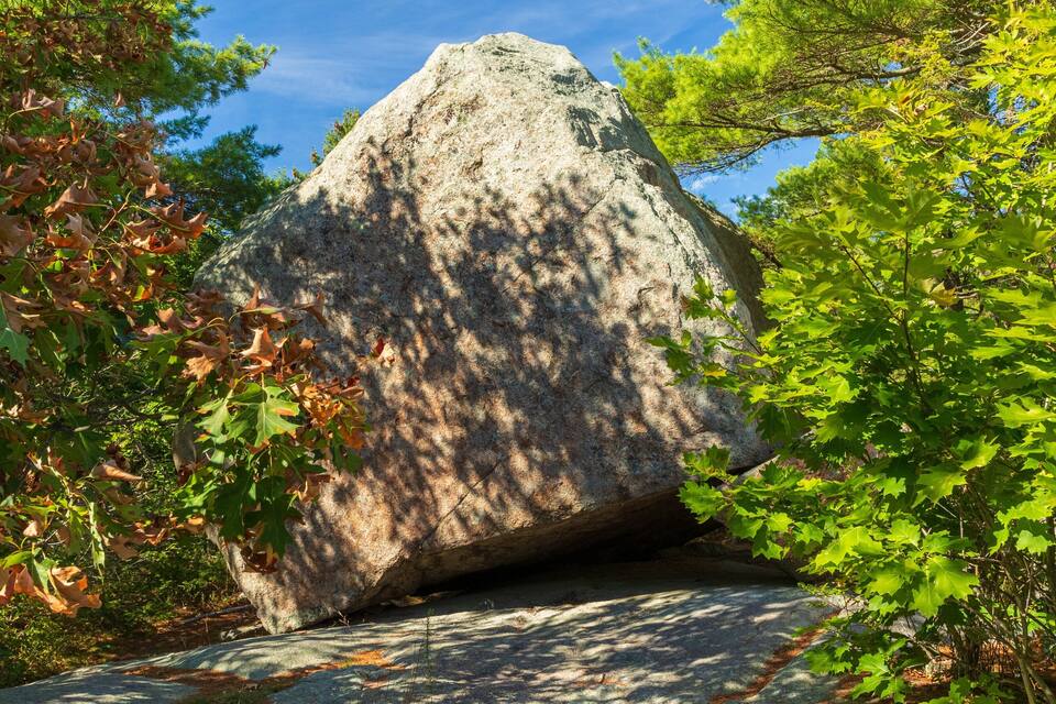 A large rock formation surrounded by green foliage.