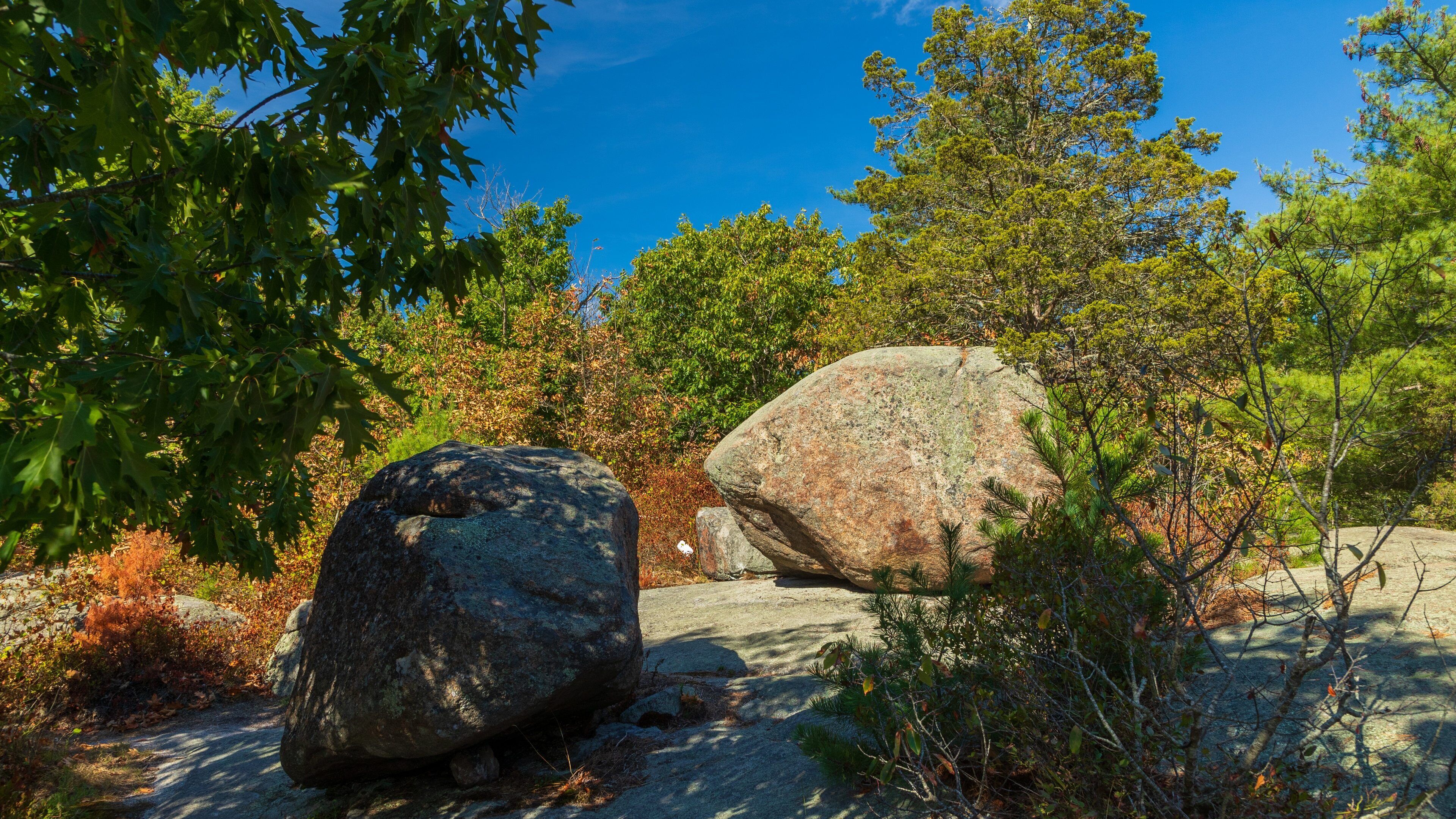 Agassiz Rock which includes tranquil scenes
