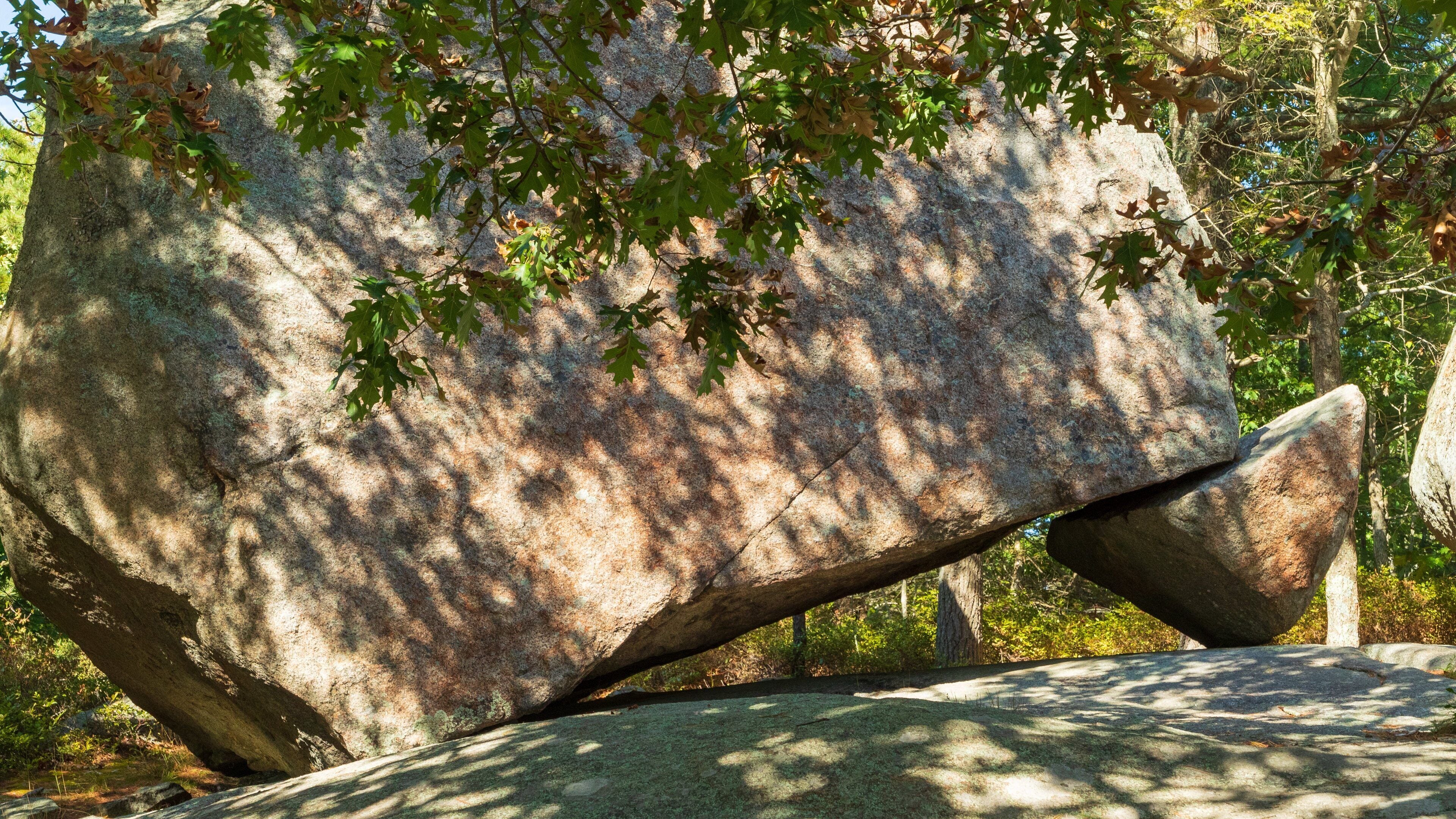 Agassiz Rock featuring tranquil scenes