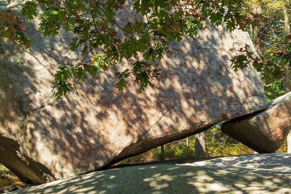 Una gran roca en un bosc.