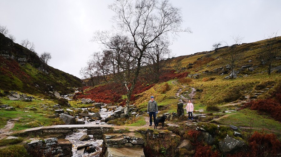 The packhorse bridge near the Bronte Falls , Haworth, Yorkshire. Resplendent scenery even on a wuthering day in December. :)