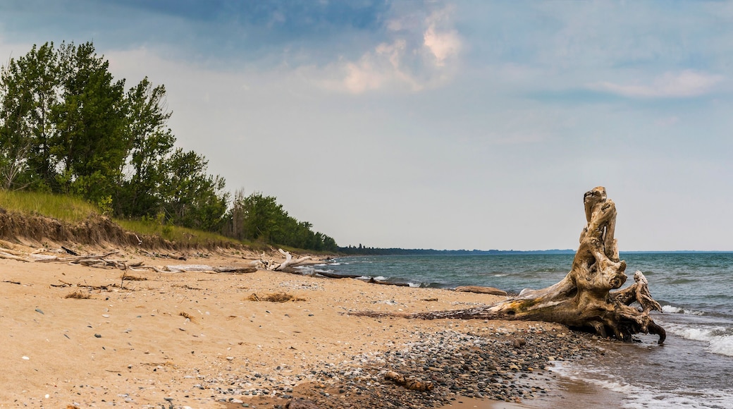 Pinery Provincial Park