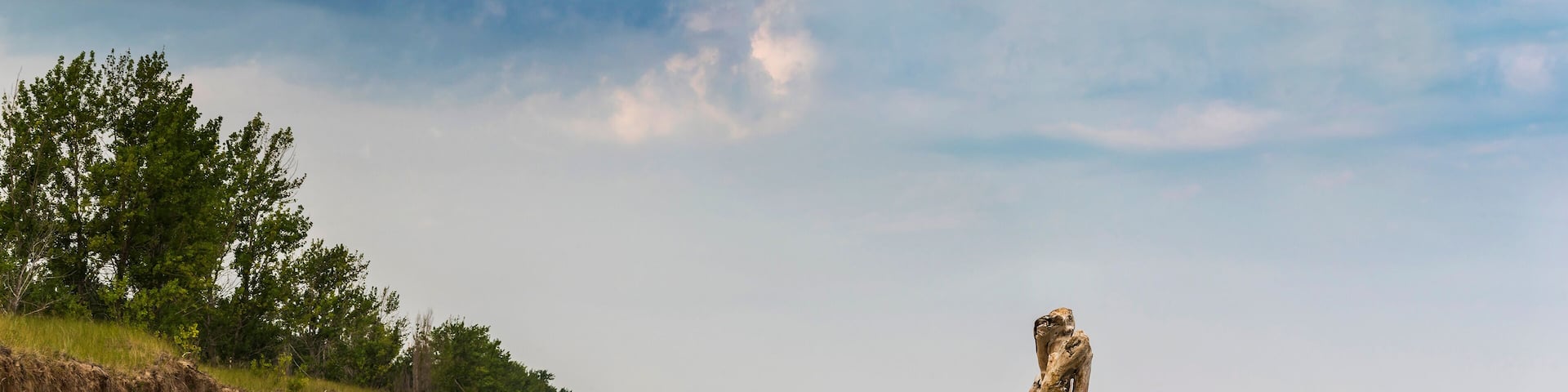 Driftwood on a Lake Huron beach