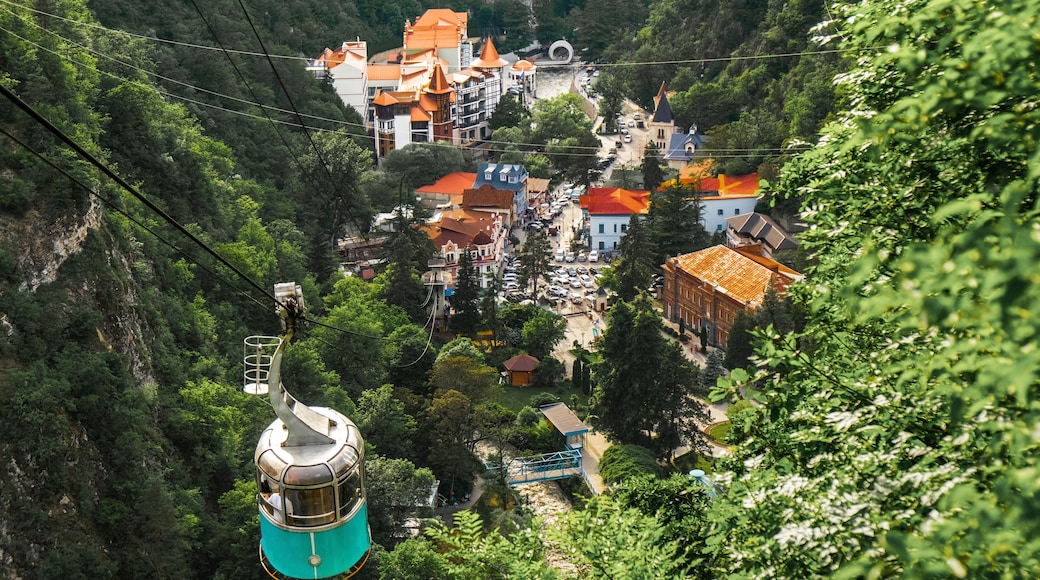 View of park of Borjomi. Borjomi is a resort town in central Georgia. It's known for its mineral waters, with springs in Borjomi Central Park.