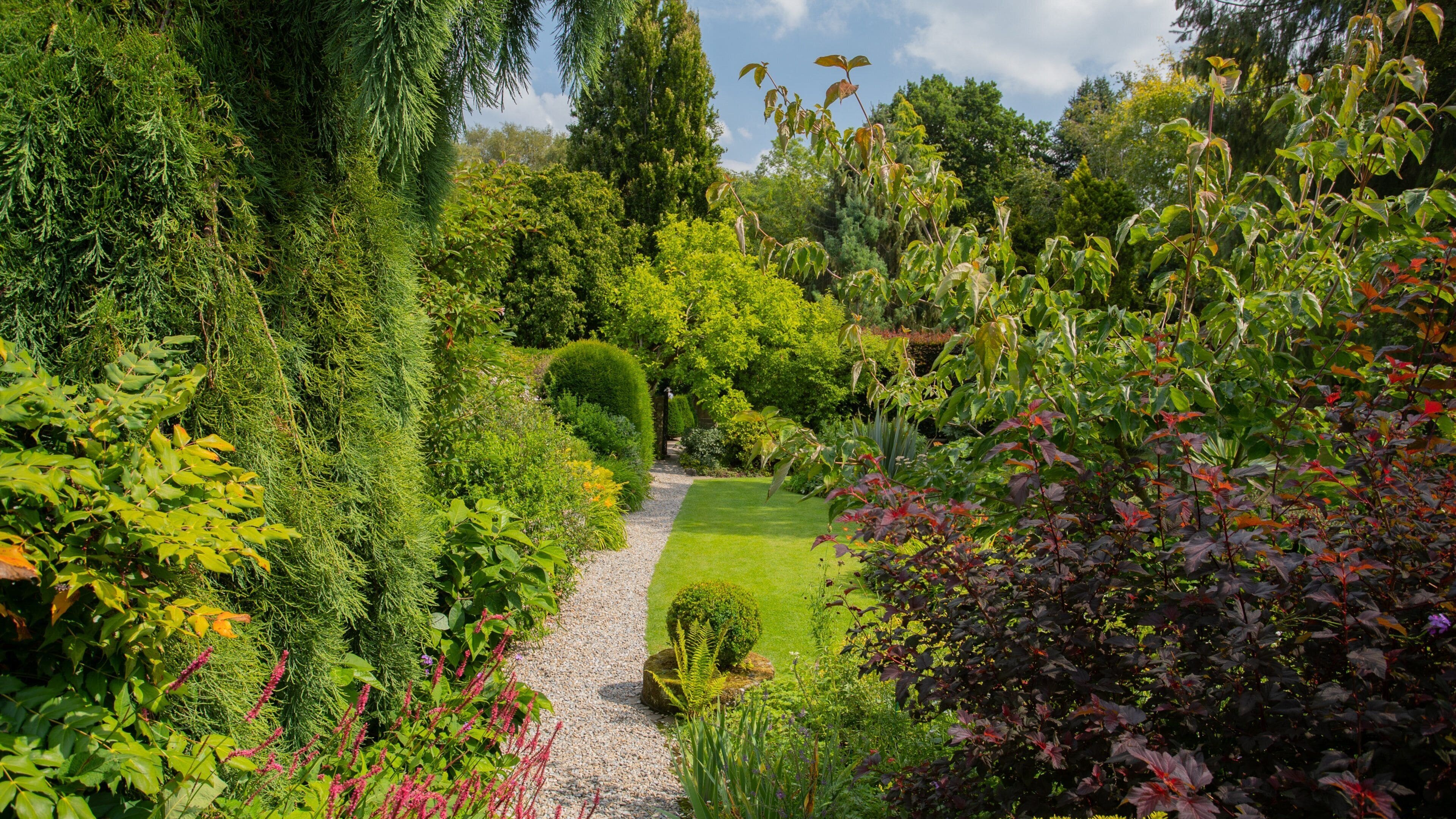 York Gate Garden which includes a garden