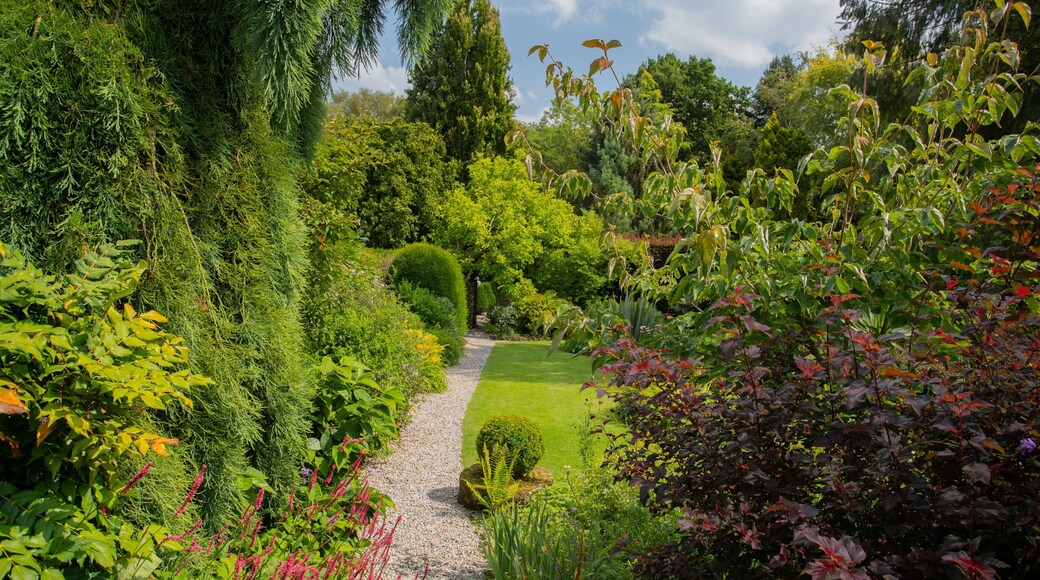 York Gate Garden which includes a garden