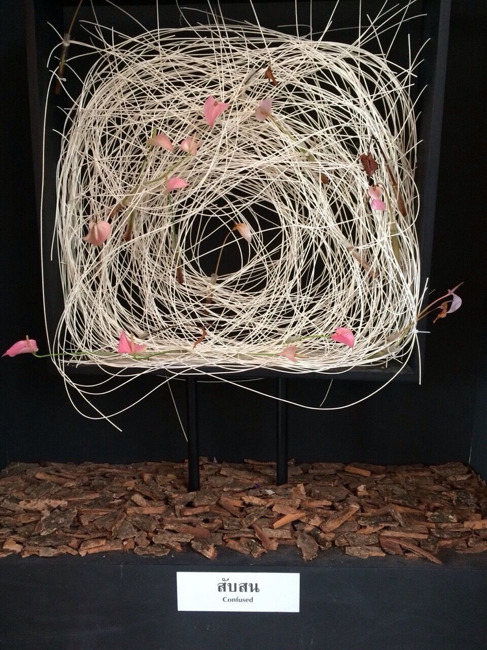 One of the art works , it's called "Confused".... Yelp !!😄