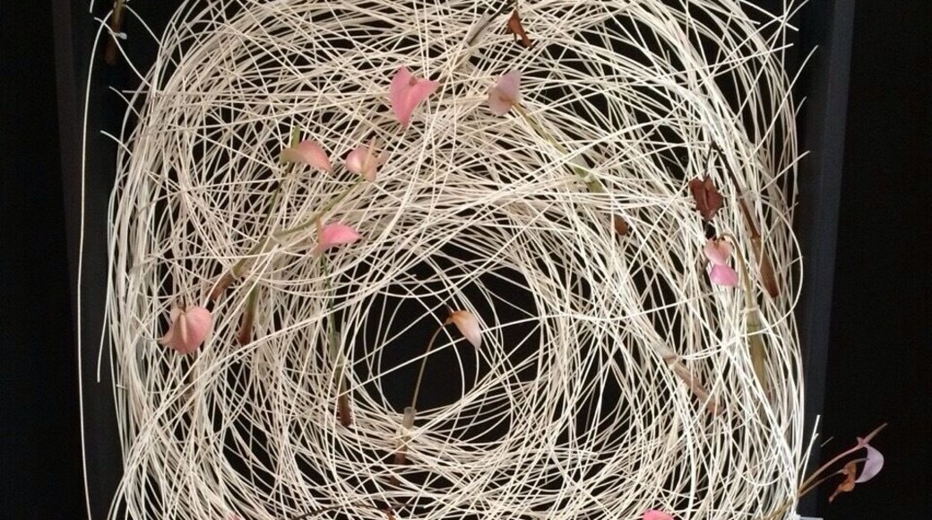 One of the art works , it's called "Confused".... Yelp !!😄