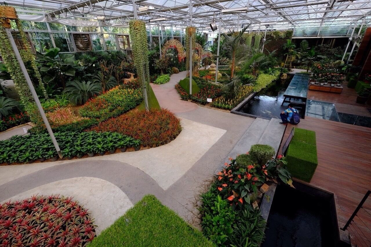 This picture showing the main hall of the plant gallery .