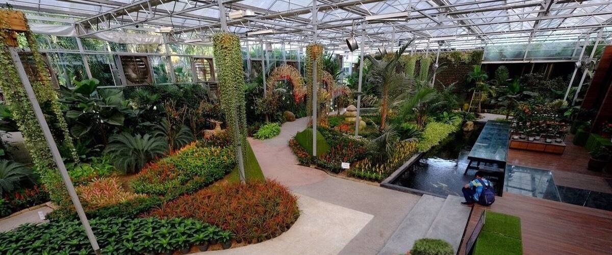 This picture showing the main hall of the plant gallery .