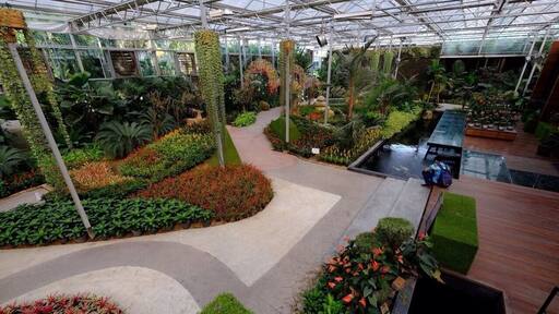 This picture showing the main hall of the plant gallery .