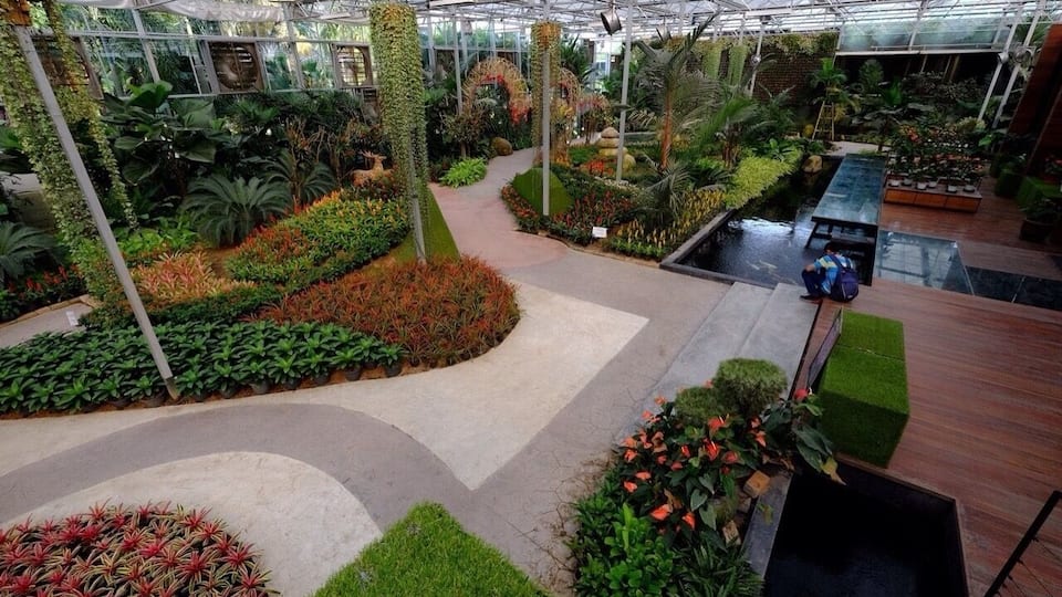 A greenhouse with various plants, a central walkway, and a small pond.