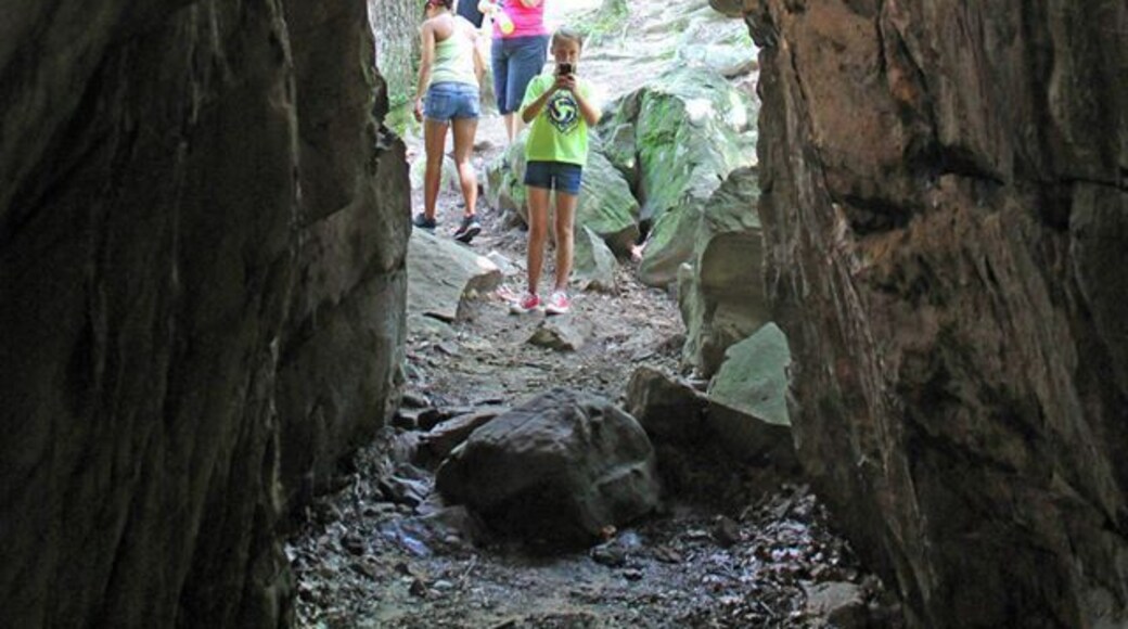 Came here while visiting family in the area. Its a really pretty little forest accented by large rock formations that make for some excellent beginner level climbing. There are also tons of good geocaches in the park if you are into that!