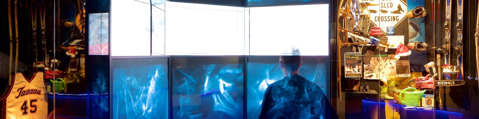 Fairbanks featuring interior views