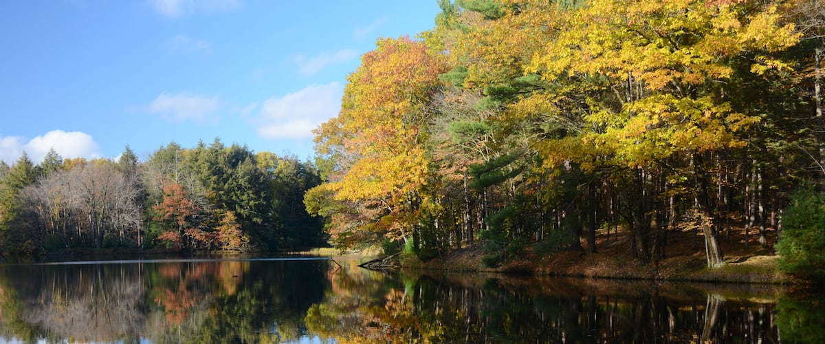 Un lac paisible où se reflètent les arbres d’automne aux feuilles jaunes et orangées.