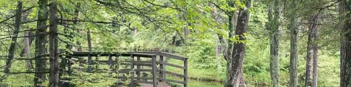 Hiking the Jean Brunet nature trail #hike #greatoutdoors #nature