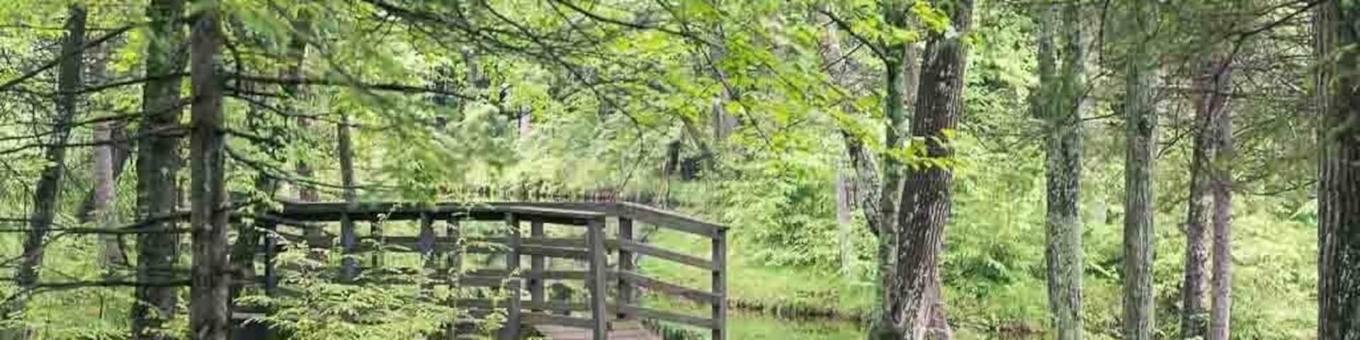 Hiking the Jean Brunet nature trail #hike #greatoutdoors #nature