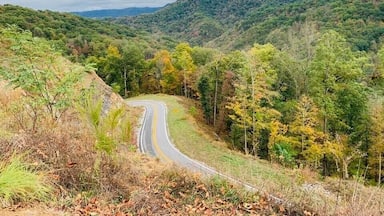 Uma estrada sinuosa atravessa uma paisagem montanhosa coberta por floresta.