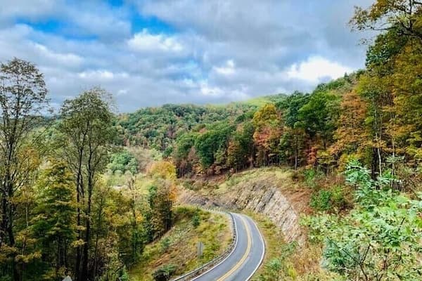 Un camino sinuoso que atraviesa un bosque con follaje otoñal.