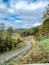 A winding road through a forested area with autumn foliage.