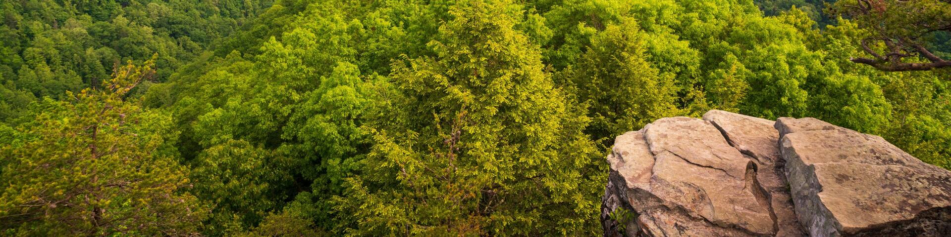 The Bridge at New River Gorge National Park and Preserve