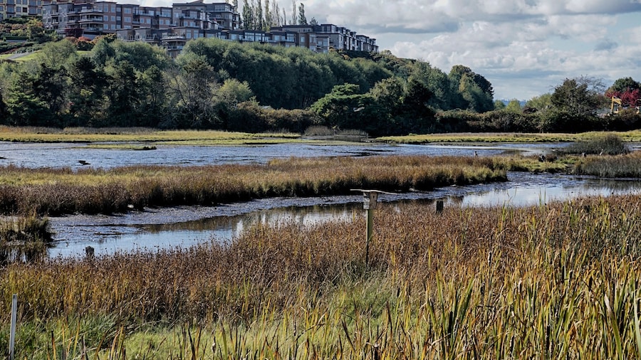 Edmonds Marsh