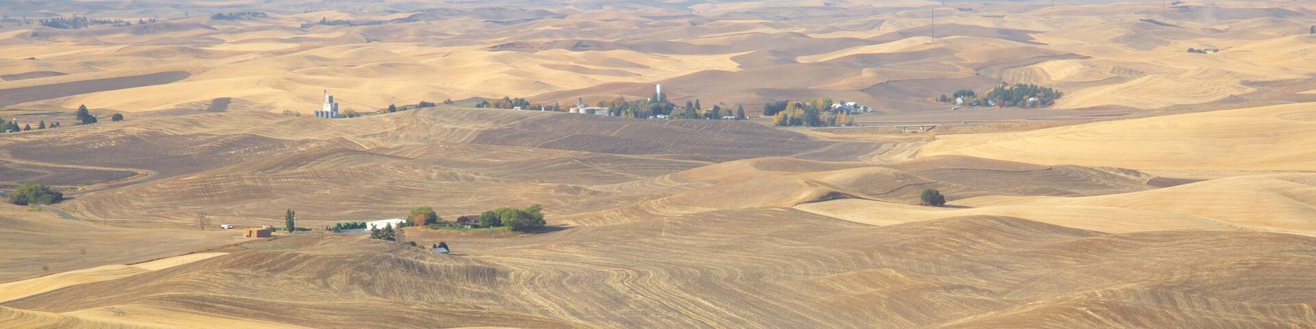 Steptoe Butte State Park which includes desert views and landscape views